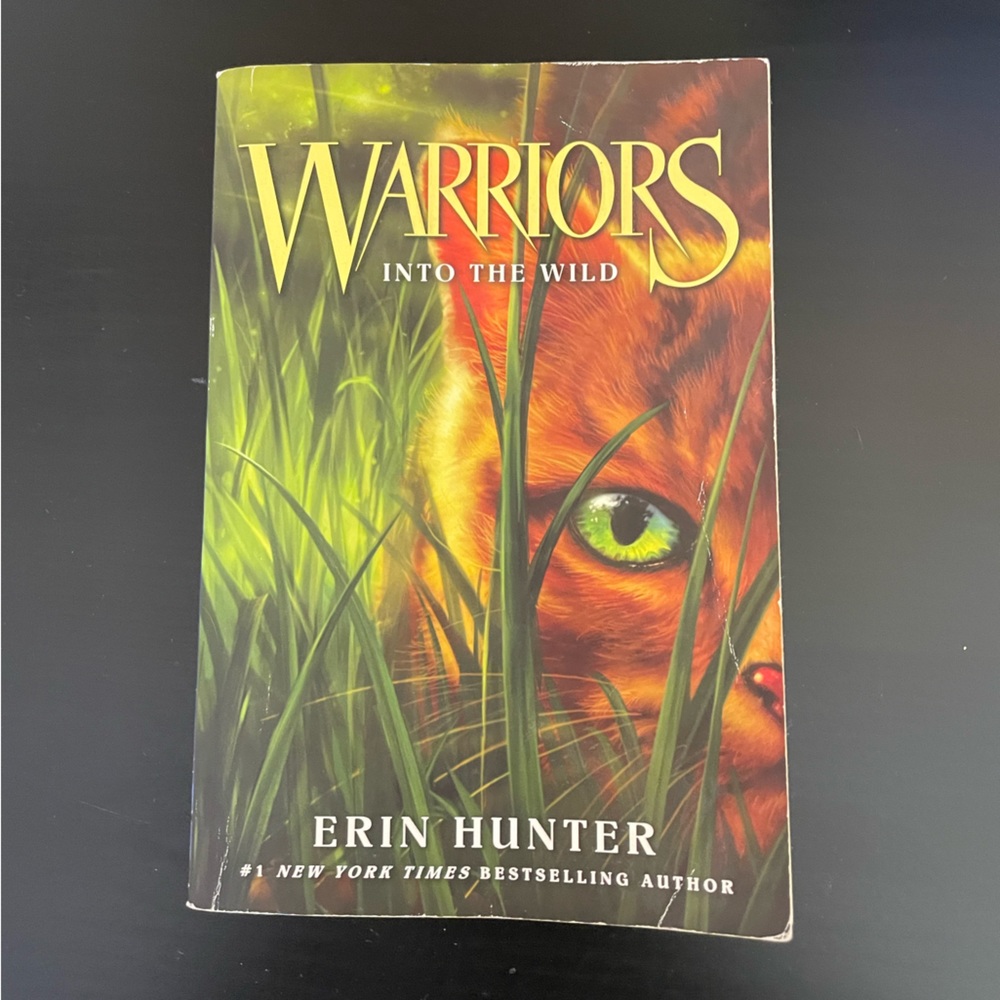 Warrior Cats: The Prophecies Begin - Picture 3 of 6